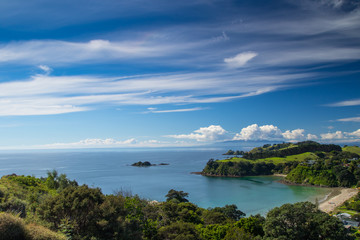Palm, Beach, Mawhitipana Bay, Waiheke Island, 
