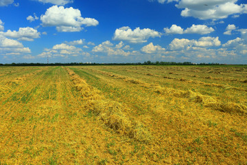 mown field on a bright autumn day
