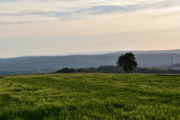 Obraz premium Schönes Wetter
