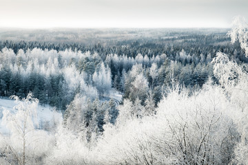 Scenic landscape with snow trees and sunset at cold winter day