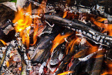 Flame of bonfire. Burning firewood in the fireplace closeup