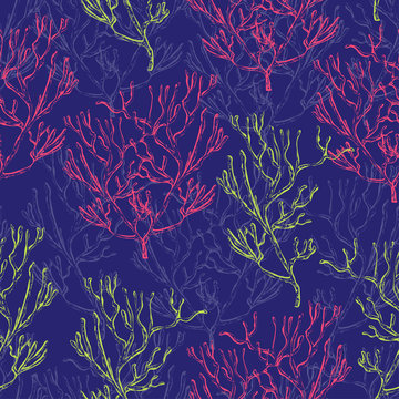 Seamless pattern with marine plants, corals and seaweed. Vintage hand drawn marine flora. Vector illustration in line art style.