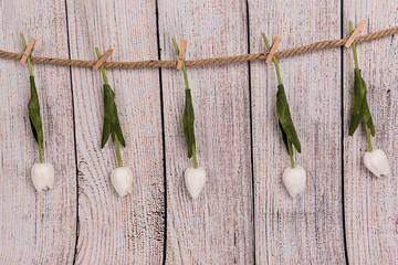 Tulipanes blancos colgados sobre fondo de madera.