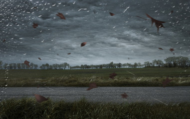Empty autumn stormy background with copy space