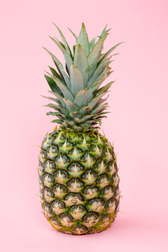 Isolated pineapple on pink background