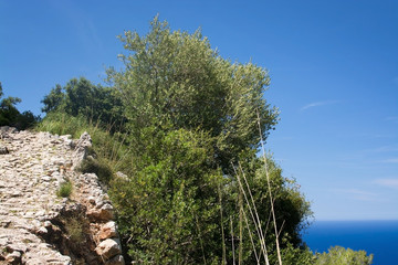 Seascape mountain view Mallorca