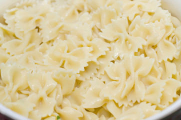 Pasta farfalle