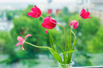 Vase with pink tulips on window background