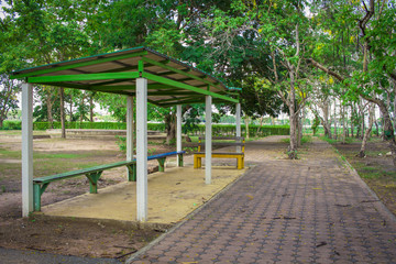 Trees and road in the public park.
