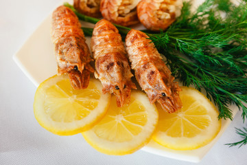 Spiked shrimp-bear with dill on white plate, dill