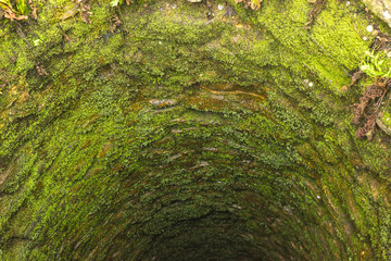 old deep well with moss