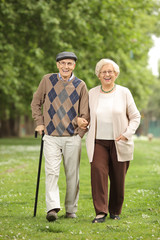 Happy mature couple walking in a park