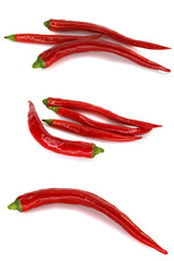 Set of beautiful red chili peppers