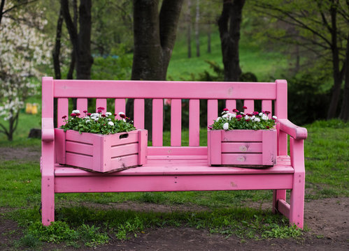 Decorative boxes with vibrant flowers standing on the pink garden