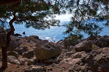 'How to become an epicurian': Wild beach of Inzhir, Crimea