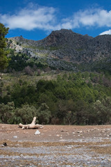 Landscape view Cala Tuent