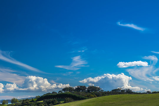 Summit Of Hillside Around Church Bay, Waiheke Island, Hauraki Gulf, New Zealand