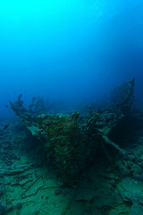 Fototapeta na wymiar Very old ship wreck from 1800's inside the reef verticle