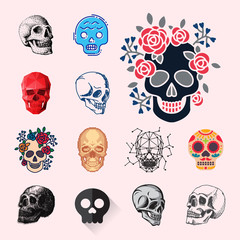 Different style skulls faces vector illustration halloween horror style tattoo anatomy art.