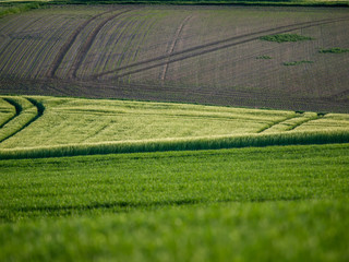 Ackerbau