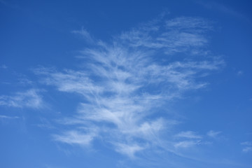 不思議な雲と青空「空想・雲の葉っぱ」成長、葉、不思議などイメージ