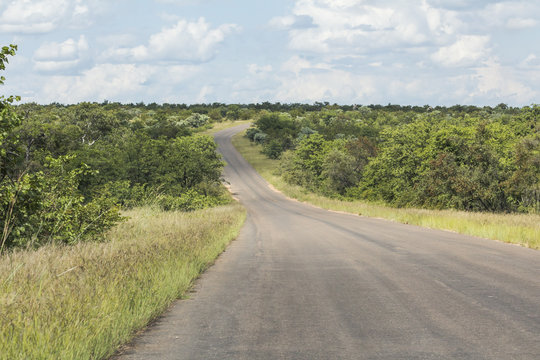 Lonely road inside Kruger Nationalpark, South Africa