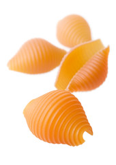 Red conchiglioni isolated