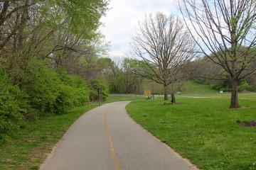 Fototapeta na wymiar The curved walkway in the park.
