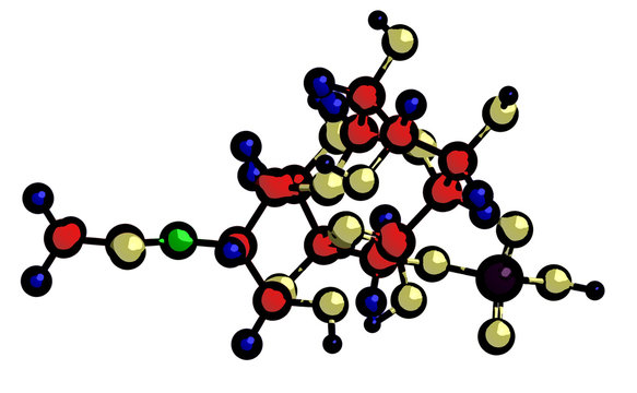 Molecular structure of chondroitin sulfate
