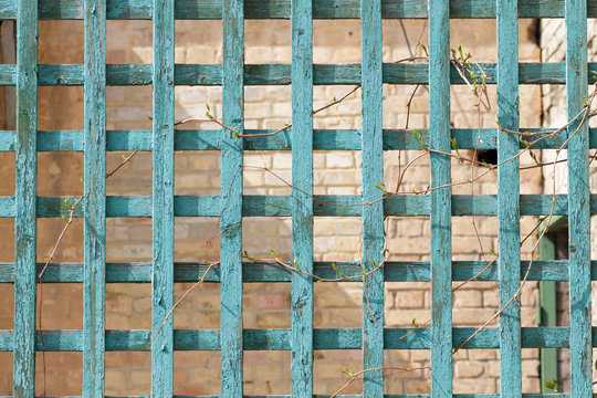 Green wooden trellis, lattice on brick background