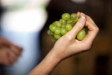 Woman hand holding grapes