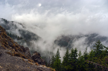 Mountain landscape after the rain. Tatry.