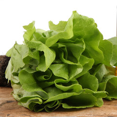 Fresh vegetables and fruits on the shredder