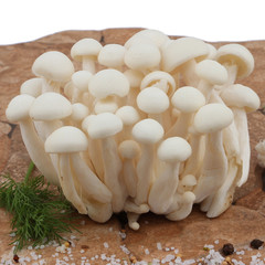 Fresh vegetables and fruits on the shredder