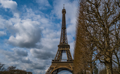 The Eiffel Tower And A Row Of Trees