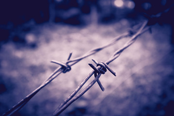 Old electrified fence with barbed wire. Terror jail concept, barbed wire. Marco view.