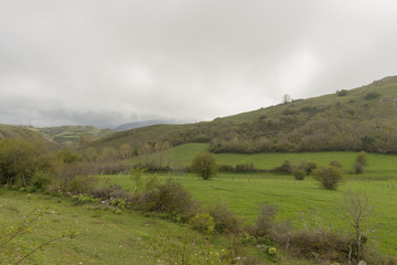 By the village of Argueso in the province of Cantabria