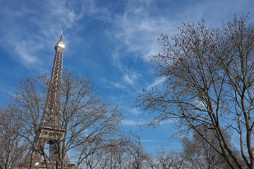 Tour Eiffel vue à travers des branches d'arbres.