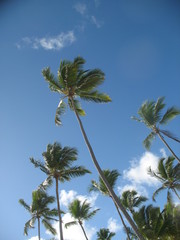 Доминиканская Республика