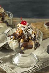 Sweet Homemade Ice Cream Sundae