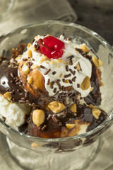 Sweet Homemade Ice Cream Sundae