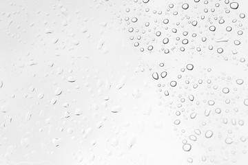 Water drops  on glass , black and white