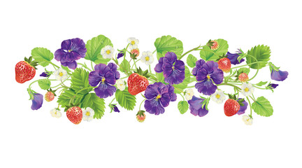beautiful heartsease . vector illustration of a realistic