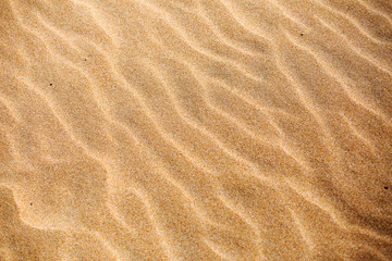 Fototapeta na wymiar sable, plage