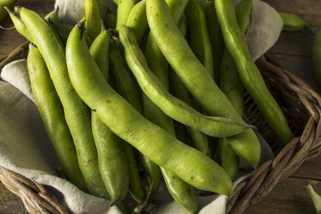 Raw Organic Fresh Green Fava Beans