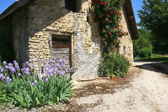 Ferme Fleurie A La Campagne Stock Photo Adobe Stock
