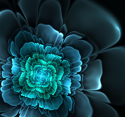 abstract flower fractal shape