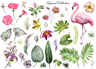 Tropical Collection with plants elements - leaf, flowers. Botanical illustration isolated on white background. watercolor nature. Exotic set with Flamingo, palm, orchid, hibiscus.