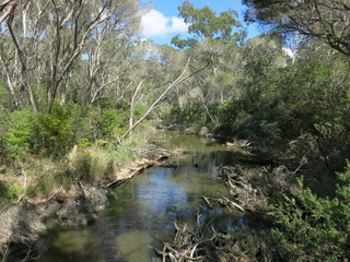 Fototapeta premium Australien Eden New South Wales 8