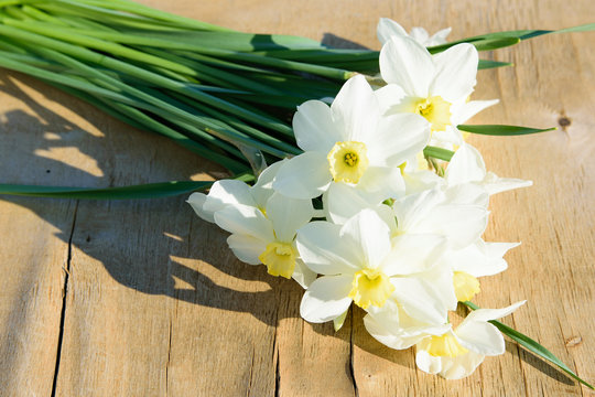 A beautiful fresh spring bouquet of white daffodil flowers lies on an old garden table.
